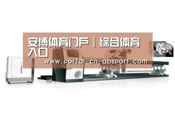 案例展示五
