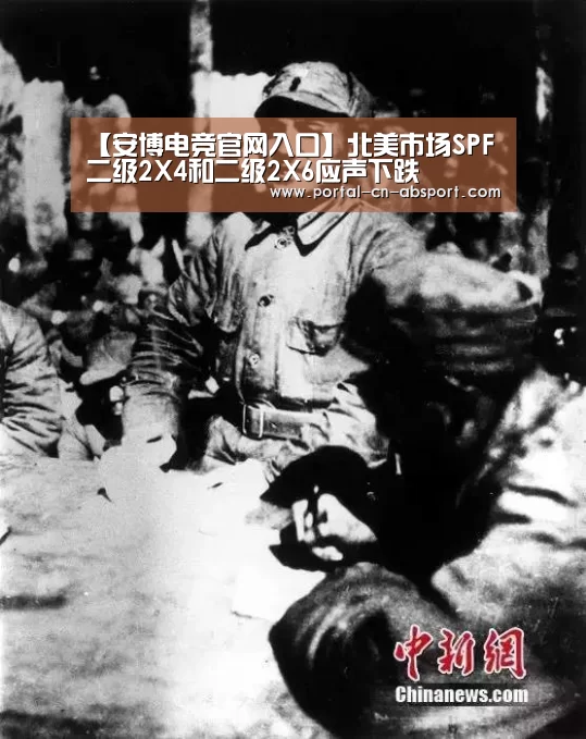 【安博电竞官网入口】北美市场SPF二级2X4和二级2X6应声下跌