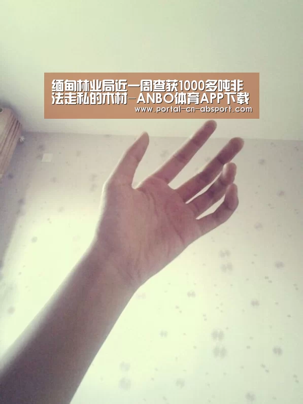 缅甸林业局近一周查获1000多吨非法走私的木材-ANBO体育APP下载