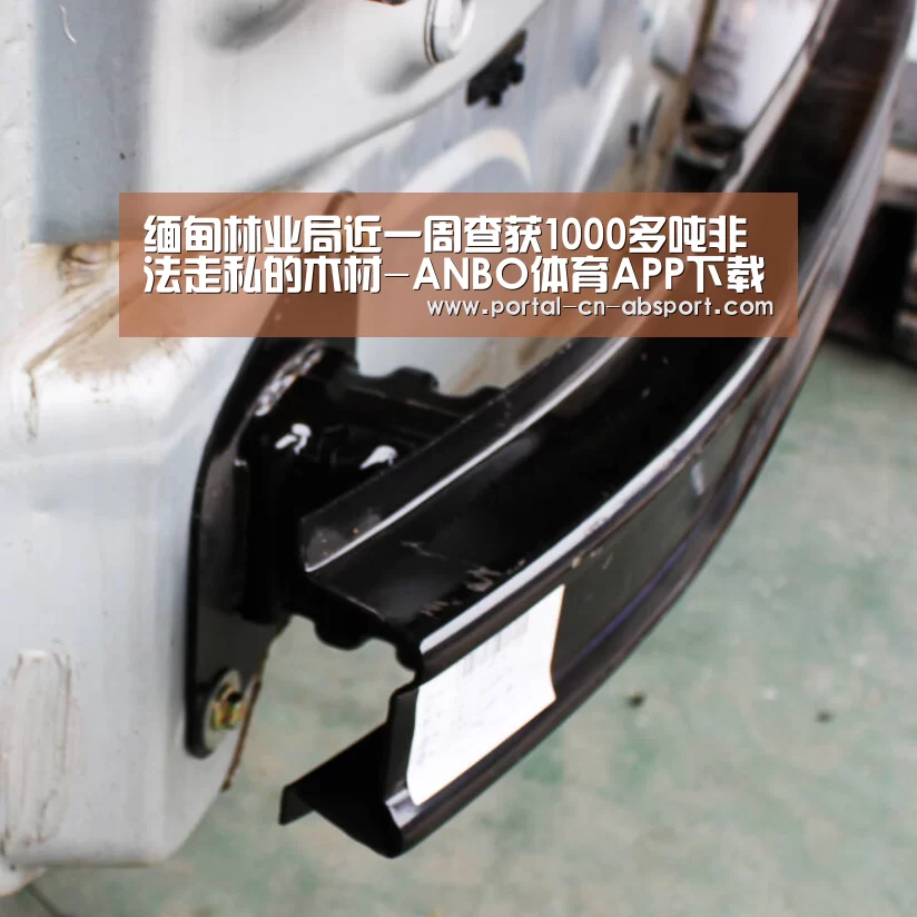 缅甸林业局近一周查获1000多吨非法走私的木材-ANBO体育APP下载(图2) 安博官方网站