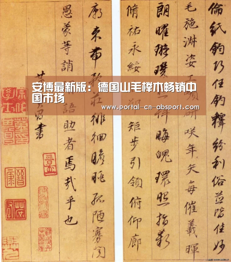 安博最新版:德国山毛榉木畅销中国市场(图2) 安博最新版