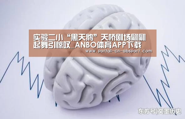 实验二小“黑天鹅”天桥剧场翩翩起舞引惊叹_ANBO体育APP下载