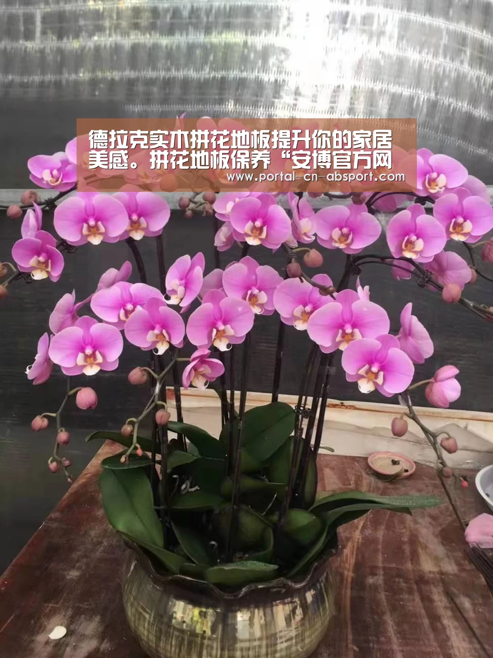 德拉克实木拼花地板提升你的家居美感。拼花